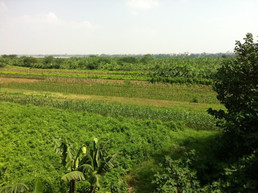 A farming  paradise from the Long Bien Bridge.