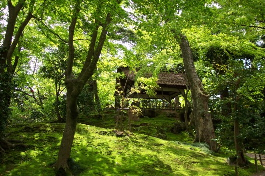 The viewing & tea of Haiku master Basho in Kanazawa, Japan.