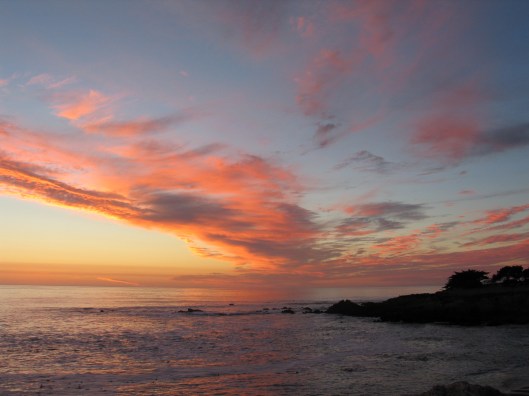 Dreaming of California?