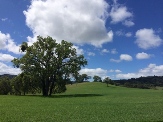 Vineyard Dr. in the Central Coast area of Paso Robles.