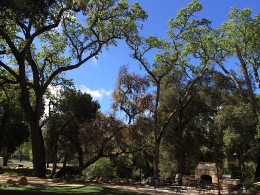 The grounds of Halter Ranch as seen from the restored 19th century house.
