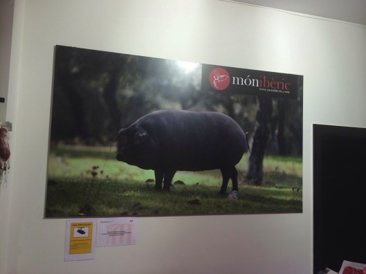 The revered Iberian pig fed exclusively on acorns.