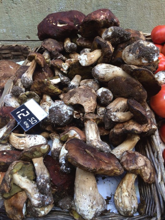 Fresh porcini in October in San Sebastian.
