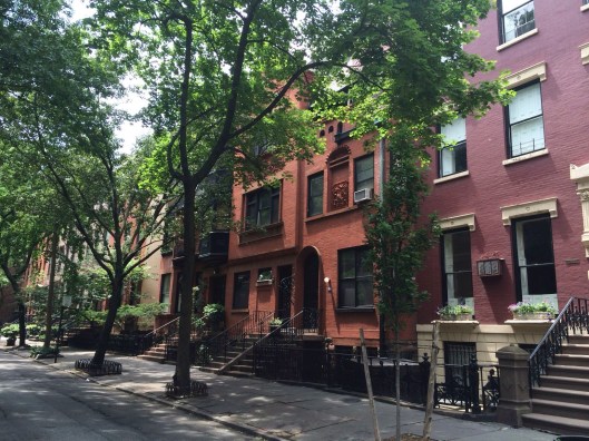 Jan's grandmother was born in 1904 in Brooklyn.