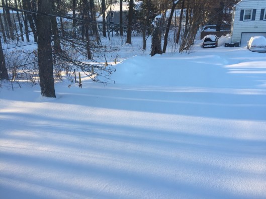 30" of snow makes getting out of the house impossible.