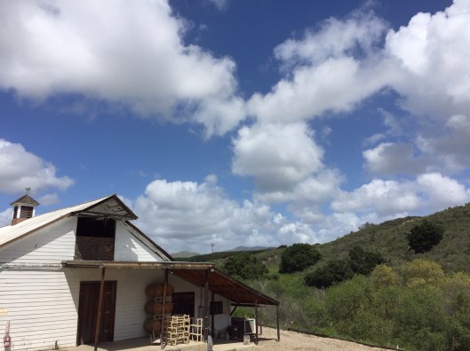 The barn of Foxen Winery.