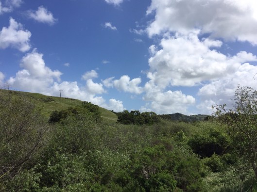 The view for lunch at Foxen Winery.