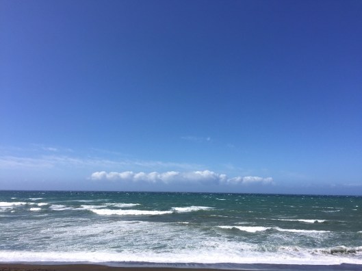 A very windy Pacific Ocean coastline in Cambria.