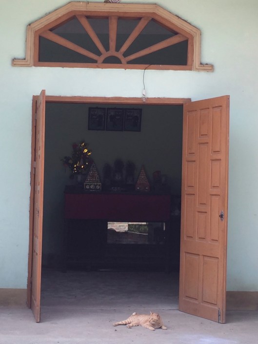A lazy cat in front the front door of a family dwelling with its Buddhist altar.