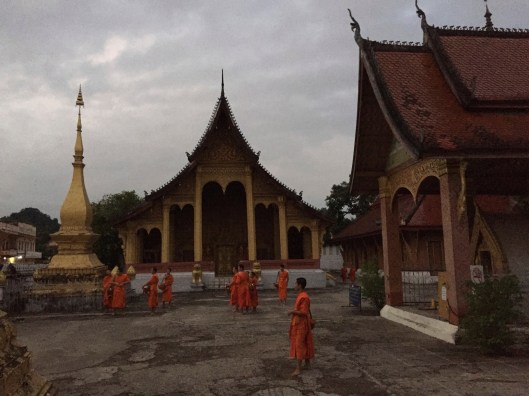 Monks gathering in the early morning before the alms ceremony.