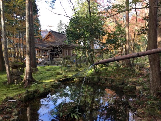 00E9E88C-D42F-4FD6-BF1B-238EB3894BC6