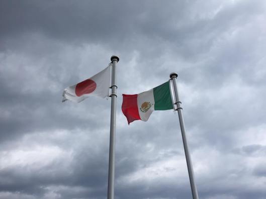 65FEFBA3-9FF1-48FE-A377-C779BFB63D22