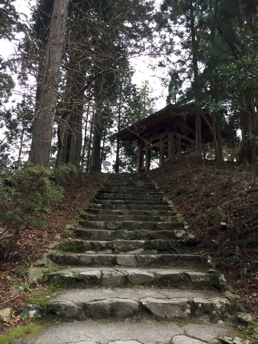 75EFBB1E-5FD7-490A-9072-78888E6A51F0