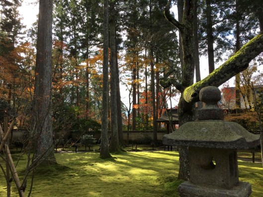 7A442E49-8EB2-479E-A72C-59628A9C18C2