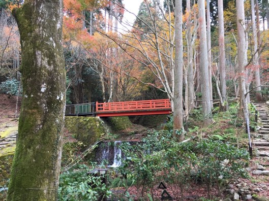 E5F8180F-8182-402A-A24D-913CEA18DAC1