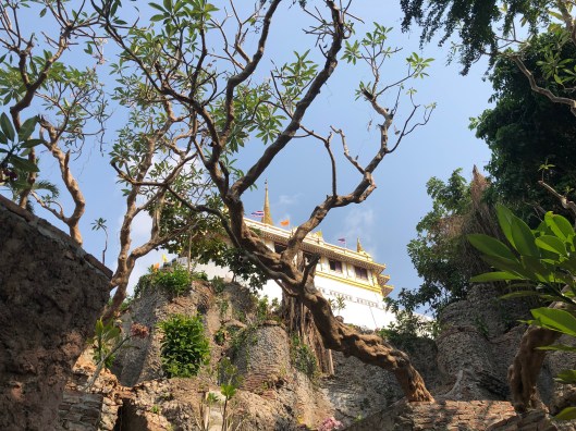 0314D302-8B5B-49EE-90A3-A46E404991C2