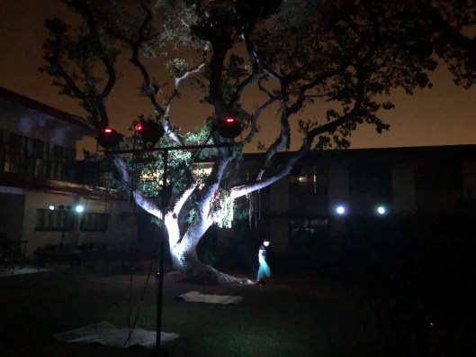 9DAC314F-E6A9-48FC-A562-1B9867D838F1