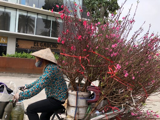 2ED48268-5337-4F8D-AB64-D36E2DFBB160